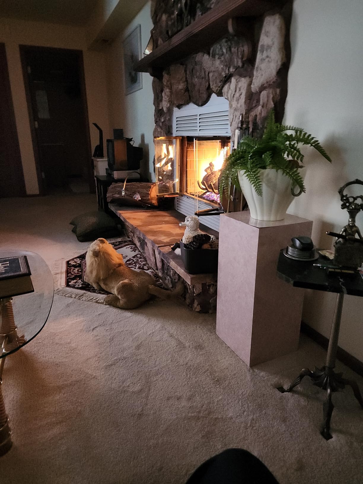Duluth Forge Vented Natural Gas Log Set with Remote Control Kit - 18 in., 45,000 BTU, Heartland Oak - Model# FNVL18-1-RO customer photo 2