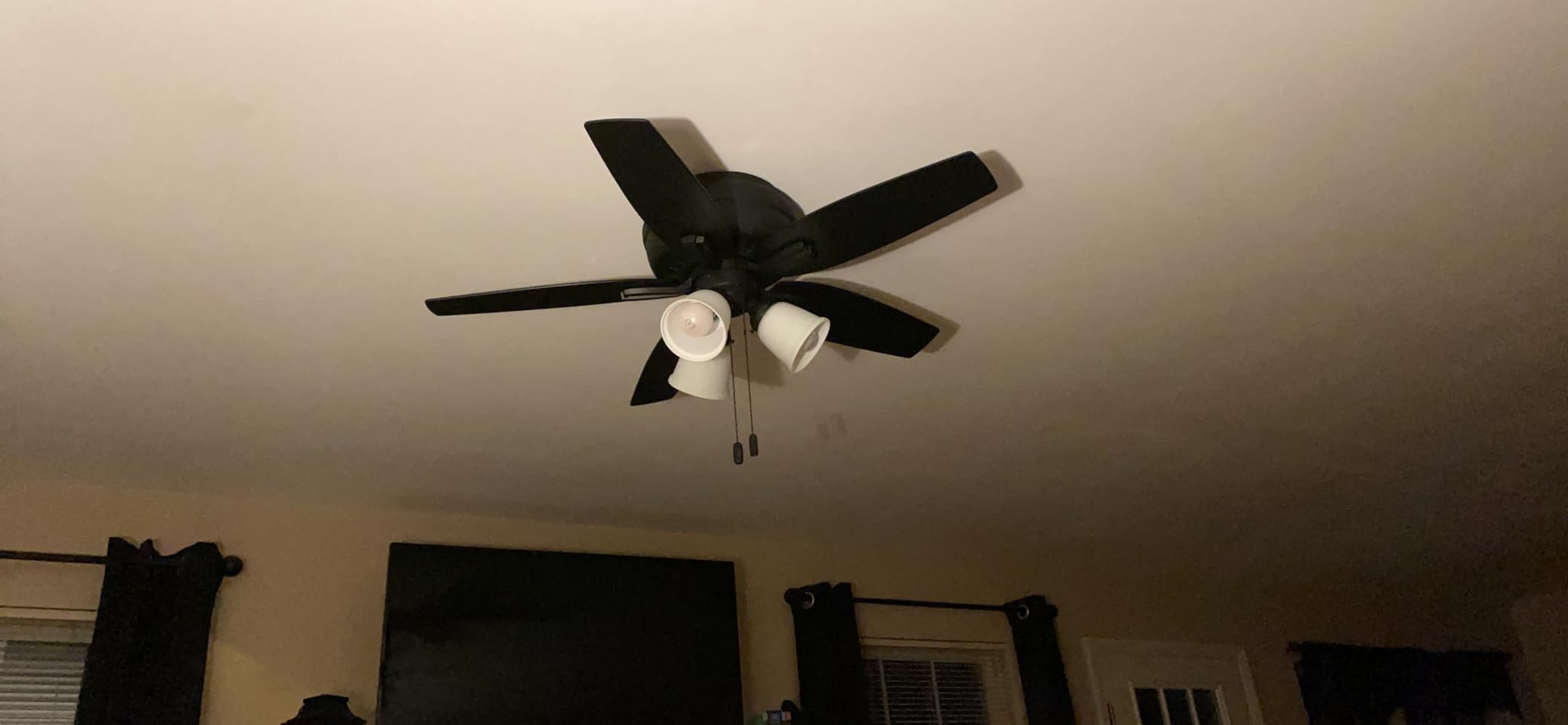 Hunter 42 inch Indoor Ceiling Fan with LED Lights - Black Ceiling Fan with Pull Chain, For Bedroom or Living Room, Low Profile Mount, No Remote, 5 Blades, Includes Bulbs - Newsome 52393, Matte Black customer photo 1
