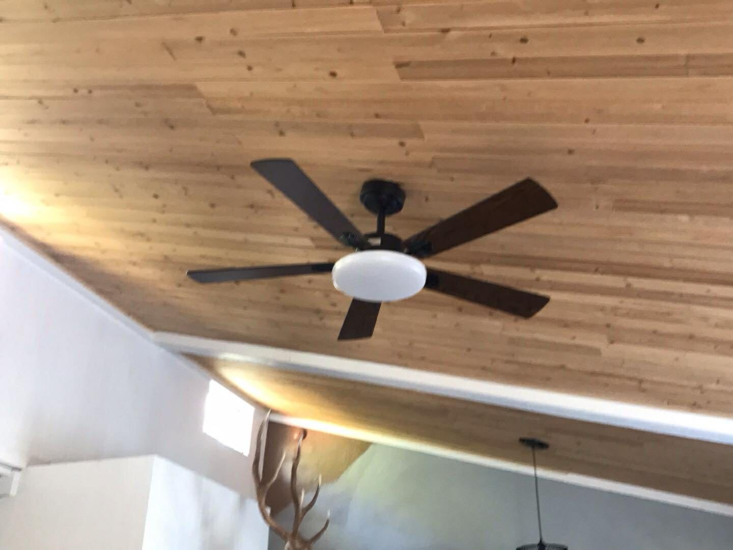 Passky Ceiling Fans with Lights, 52 inch Sleek Ceiling Fan with Light and Remote Control, 3CCT, Dimmable, Reversible, Noiseless, Black Ceiling Fan for Bedroom, Living Room customer photo 2
