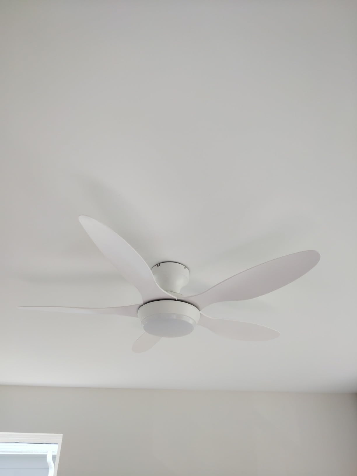 Ceiling Fans with Lights,42