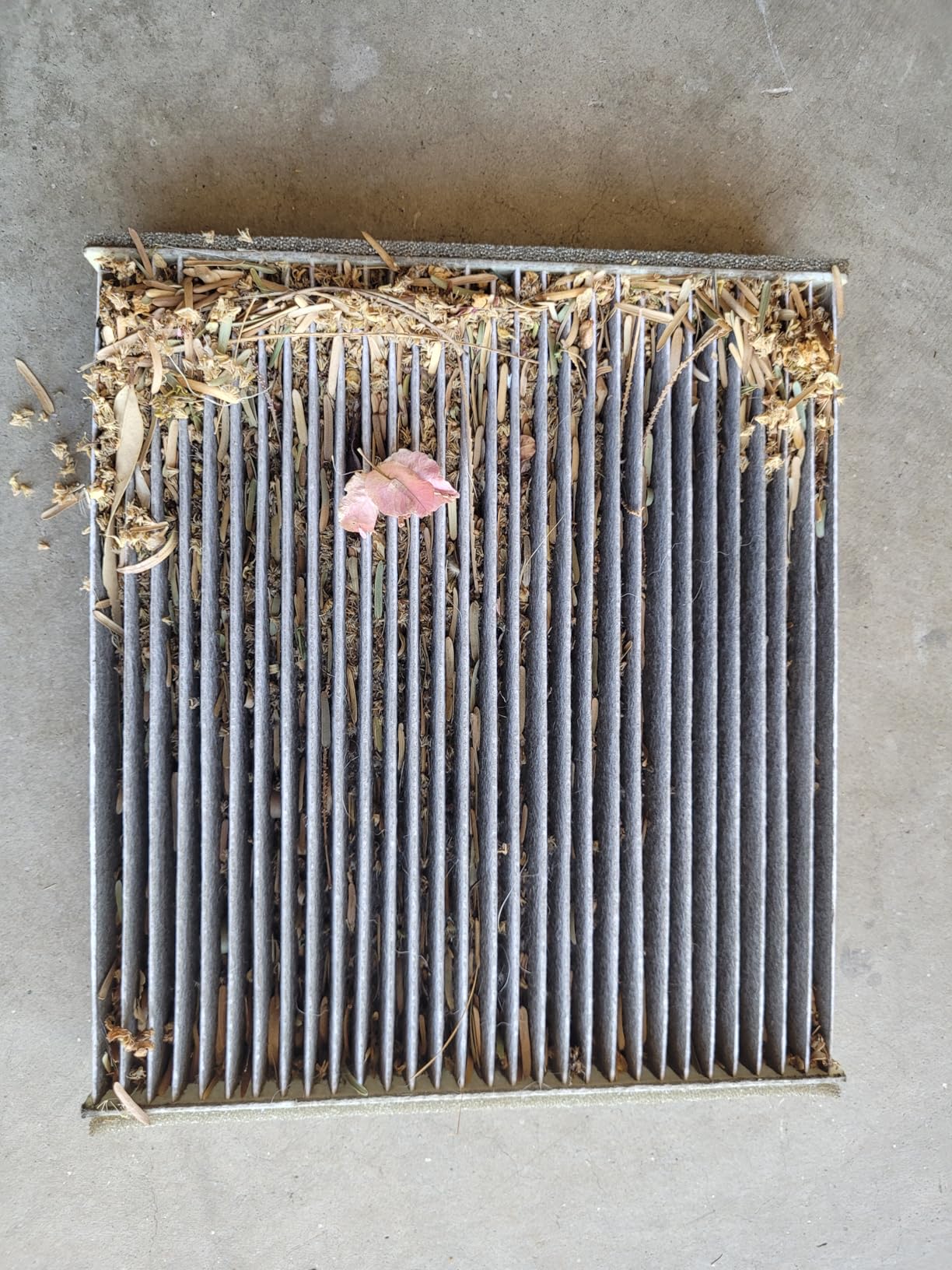 BOSCH 6055C HEPA Cabin Air Filter - Compatible with Select Lexus ES, GS, GX, IS, LS, RX; Subaru Legacy, Outback; Toyota 4Runner, Camry, Corolla, Highlander, Prius, RAV4, Sequoia, Sienna, Tundra + More customer photo 2