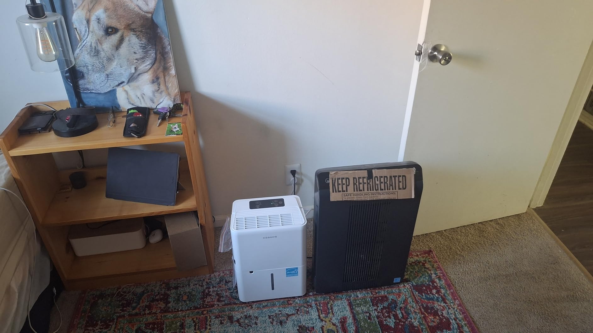Kesnos 80 Pints Energy Star Dehumidifier for Home, Basement with Drain Hose, Front LED Display and 1.06 Gal Water Tank, Ideal for Large Room up to 5,500 Sq. Ft., Featuring Auto Defrost, Timer Function customer photo 1