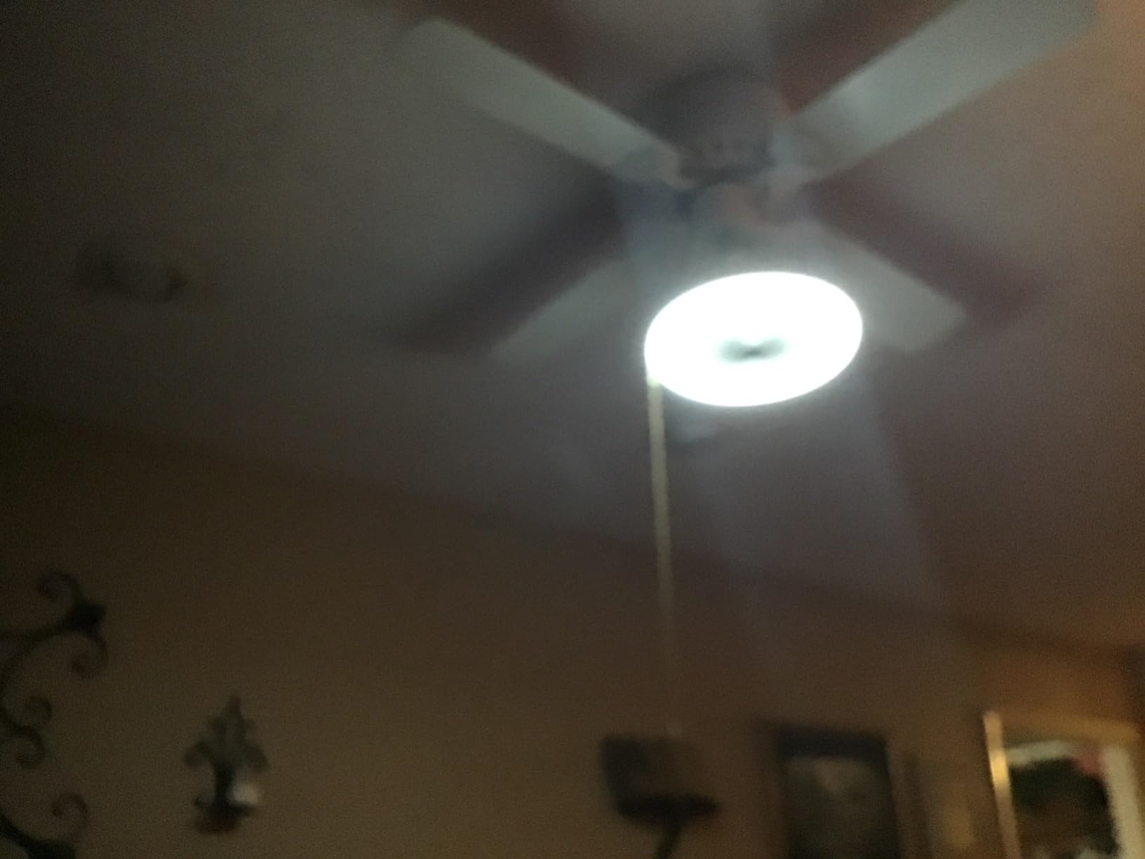 Ceiling Fans with Lights, Socket Fan Light with Remote Control, Dimmable Brightness 3000K-6500K Memory, Socket Modern Flush Mount Low Profile Ceiling Fan for Bedroom, Small Living Room, Kitchen Black customer photo 1
