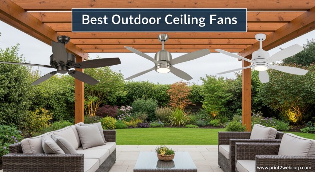 Current image: Best Outdoor Ceiling Fans