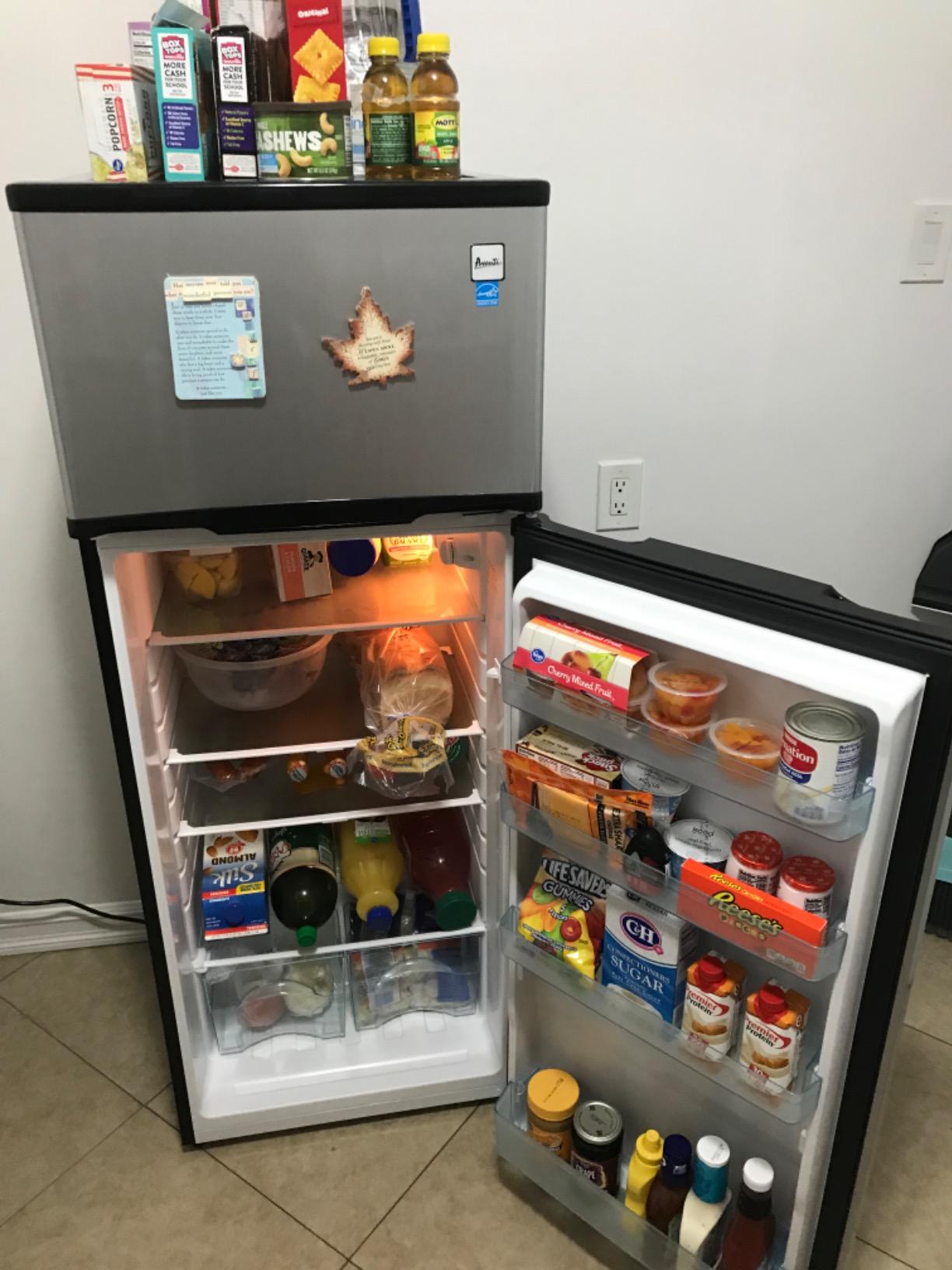 Avanti Apartment Size Refrigerator Frost-Free Defrost with Top Freezer Adjustable Glass Shelves LED Lighting Reversible Door 10.0 Cu. Ft., in Stainless Steel customer photo 1