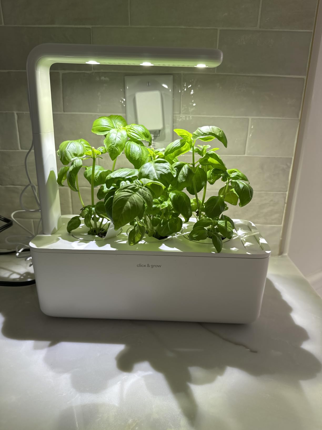 Click & Grow Indoor Herb Garden Kit with Grow Light | Smart Garden for Home Kitchen Windowsill | Easier Than Hydroponics Growing System (3 Basil Pods Included), White customer photo 1