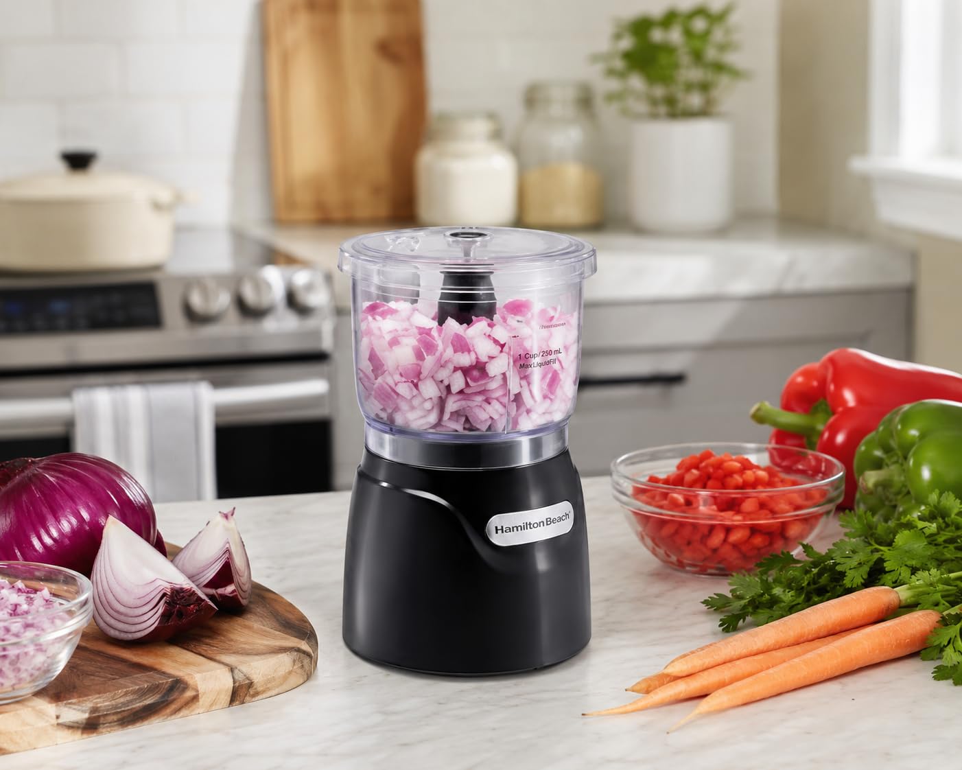 Hamilton Beach Electric Vegetable Chopper & Mini Food Processor, 3-Cup, 350 Watts, for Dicing, Mincing, and Puree, Black (72850) customer photo 1
