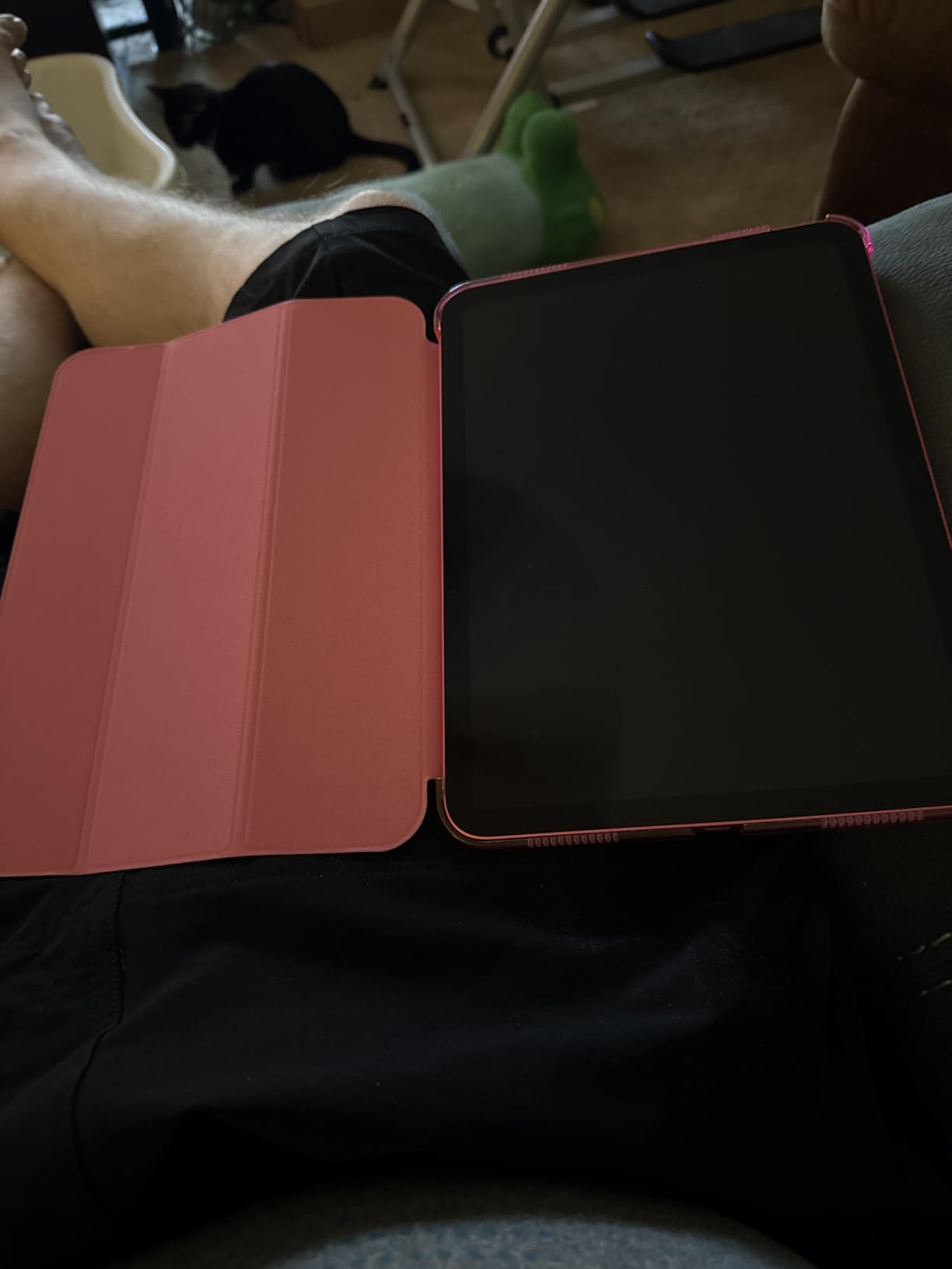MoKo for iPad (A16) 11th Generation Case 11 Inch 2025, iPad 10th Generation Case 10.9 Inch 2022, Slim Stand Hard PC Translucent Back Shell Smart Cover customer photo 1