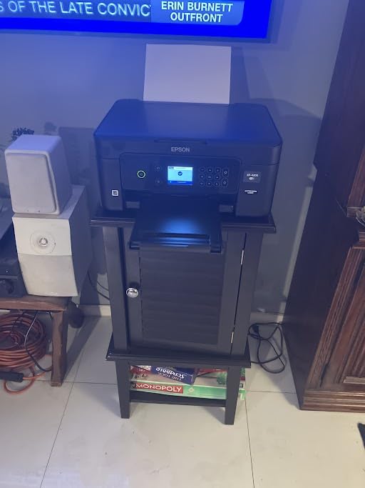 Epson Expression Home XP-4200 Wireless Color All-in-One Printer with Scan Copy, Automatic 2-Sided Printing, Borderless Photos and 2.4