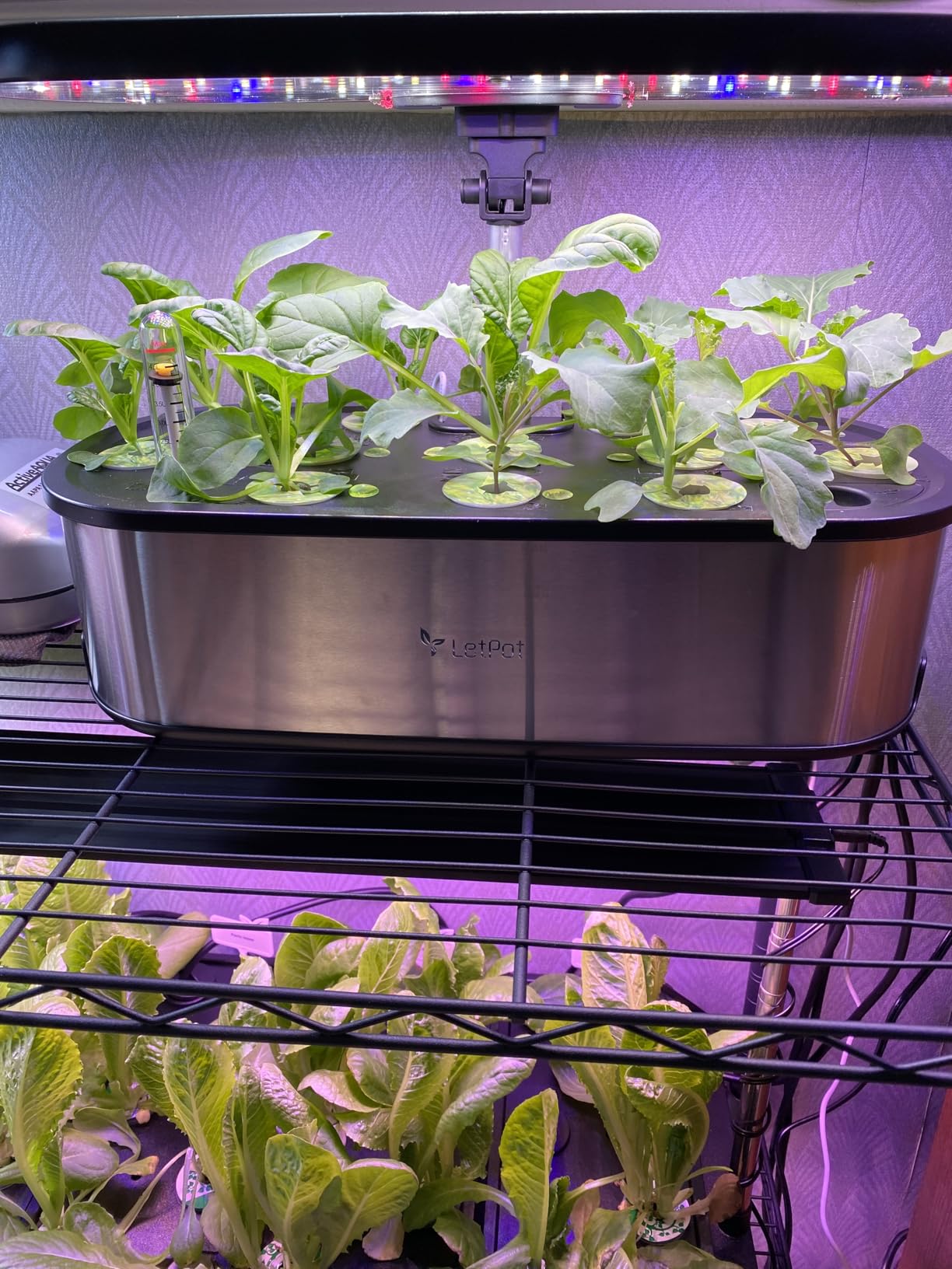 LETPOT LPH-SE Hydroponics Growing System, 12 Pods Smart Herb Garden Kit Indoor, Indoor Garden, APP & WiFi Controlled, with 24W Growing LED, 5.5L Water Tank customer photo 1