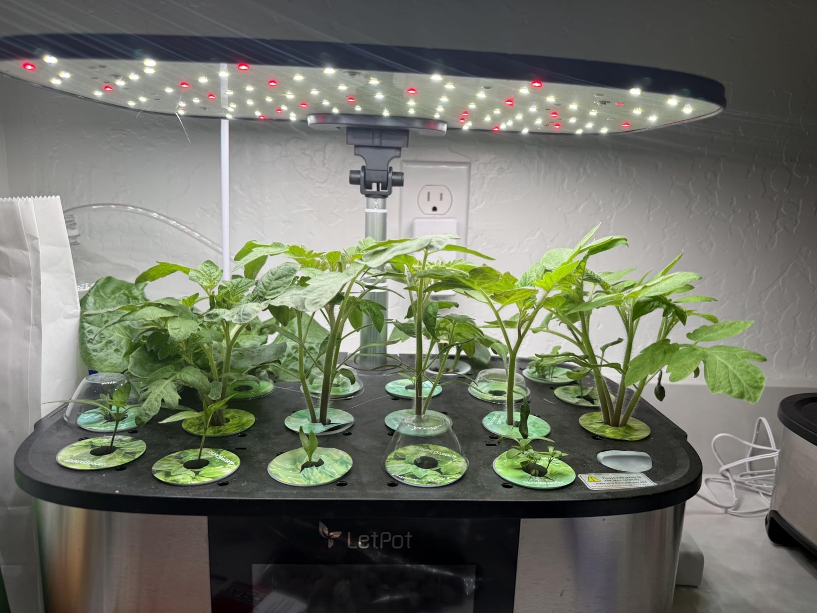 LetPot LPH-Max Hydroponics Growing System Kit, 21 Pods APP & WiFi Automatic Controlled Smart Indoor Garden with 36W LED Grow Light, Auto Drip Irrigation Kits customer photo 1