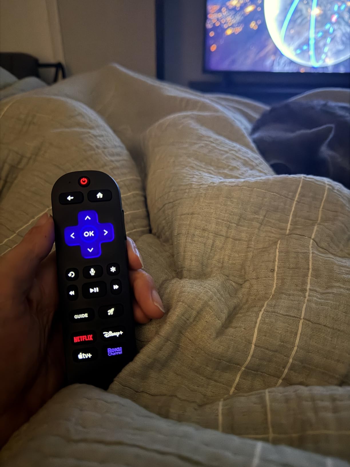 Voice Remote Pro (2nd Ed.) | Rechargeable TV Remote Control with Hands-free Voice Controls, Backlit Buttons, & Lost Remote Finder - Replacement Remote Compatible with All Roku TV, Players & Audio customer photo 2