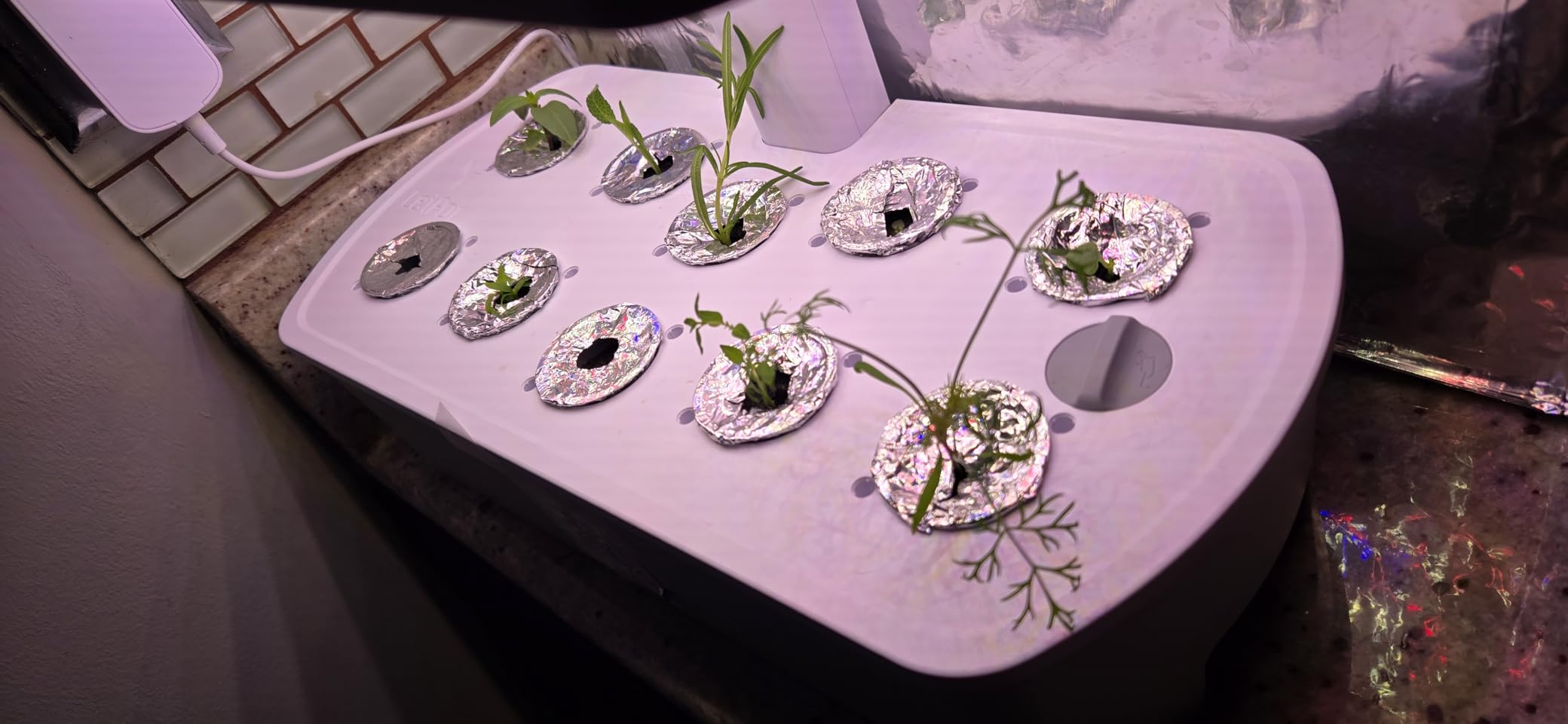 LetPot LPH-Air Hydroponics Growing System Kits, APP & WiFi Controlled Smart Indoor Garden with Adjustable 24W Grow Light Full Spectrum, 10 Pods customer photo 1