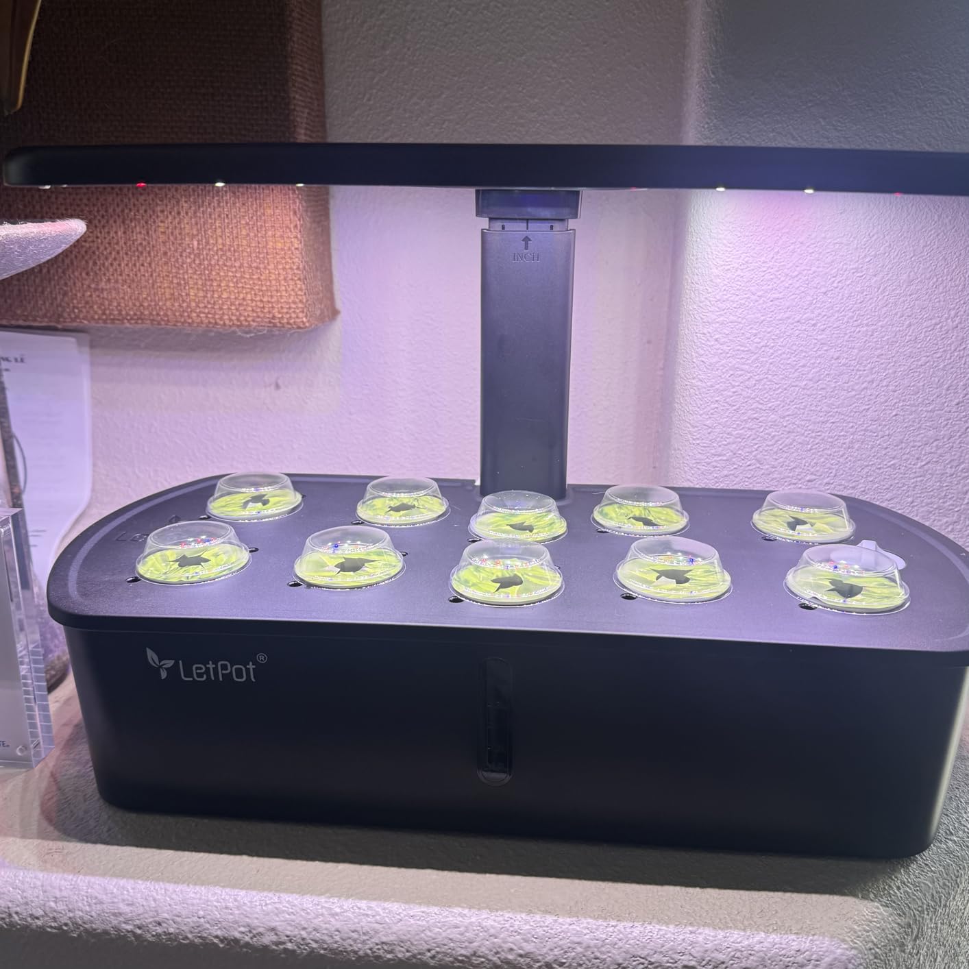 LetPot LPH-Air Hydroponics Growing System Kits, APP & WiFi Controlled Smart Indoor Garden with Adjustable 24W Grow Light Full Spectrum, 10 Pods customer photo 2