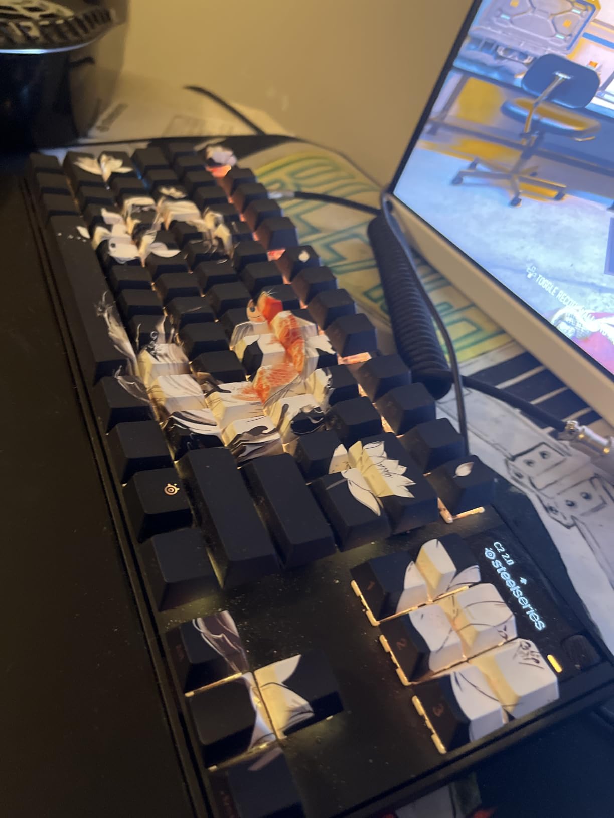 SteelSeries Apex Pro TKL Gen 3 OmniPoint 3.0 HyperMagnetic Switches - Adjustable Actuation - Rapid Trigger - OLED - RGB - PBT Keycaps - USB-C customer photo 1
