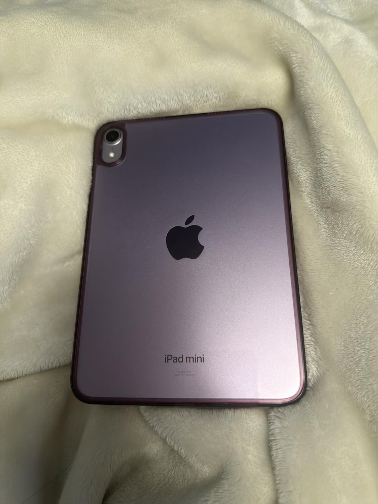 iPad mini (A17 Pro): Apple Intelligence, 8.3-inch Liquid Retina Display, 256GB, Wi-Fi 6E, 12MP Front/12MP Back Camera, Touch ID - Space Gray customer photo 1