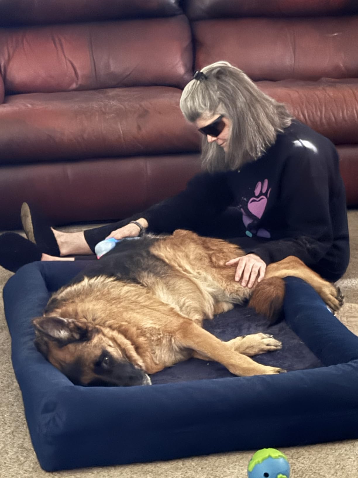 LLLT Cold Laser Therapy Device with Protective Cover, 5 * 808nm & 10 * 650nm Human/Vet Handheld Infrared Red Light Therapy, Pet Dogs Treatment Device for Muscle Pain Relief & Improve Healing(White) customer photo 2