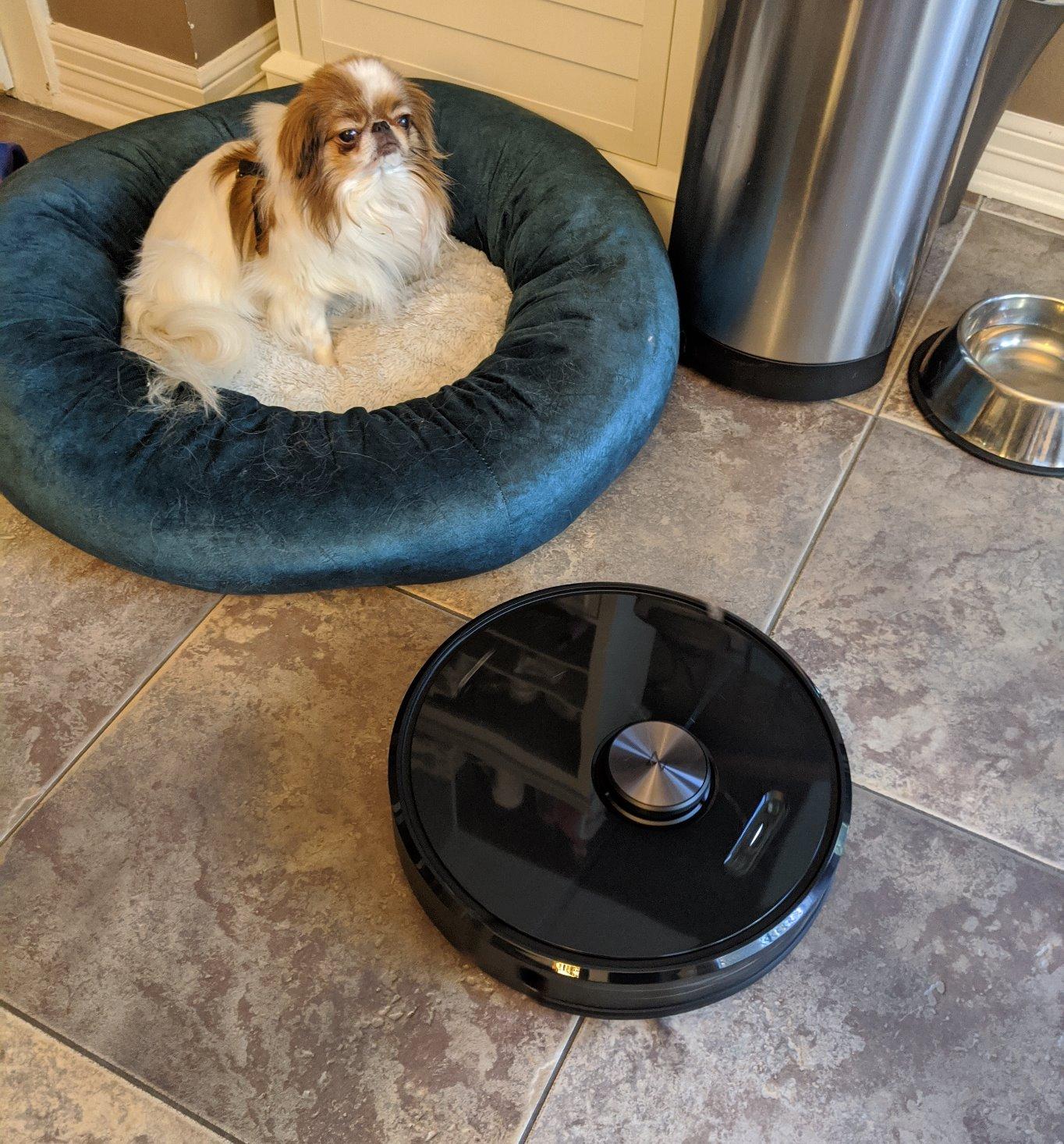 roborock Q7 L5 Robot Vacuum and Mop Combo, 8,000Pa Suction, Upgraded from Q5 Pro, Dual Anti-Tangle System, LiDAR Navigation, Multi-Level Mapping, Self-Charging Robotic Vacuum Cleaner, Black customer photo 1