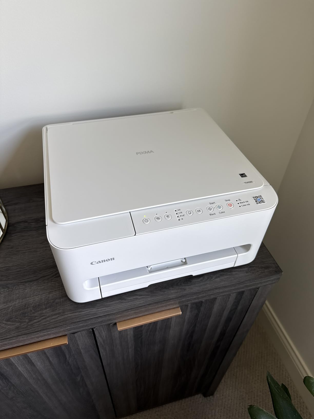 Canon PIXMA TS4320 Wireless Color Inkjet Printer for Duplex Printing with Copier/Scanner customer photo 2
