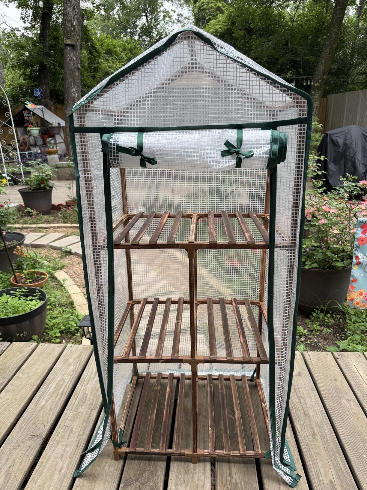 Bamworld Greenhouse for Outdoors Small Plant Green House 3-Tier Portable Plant Stand with Durable PE Cover for Seedling Ideal Gardening Gifts for Women Plants Lover customer photo 1