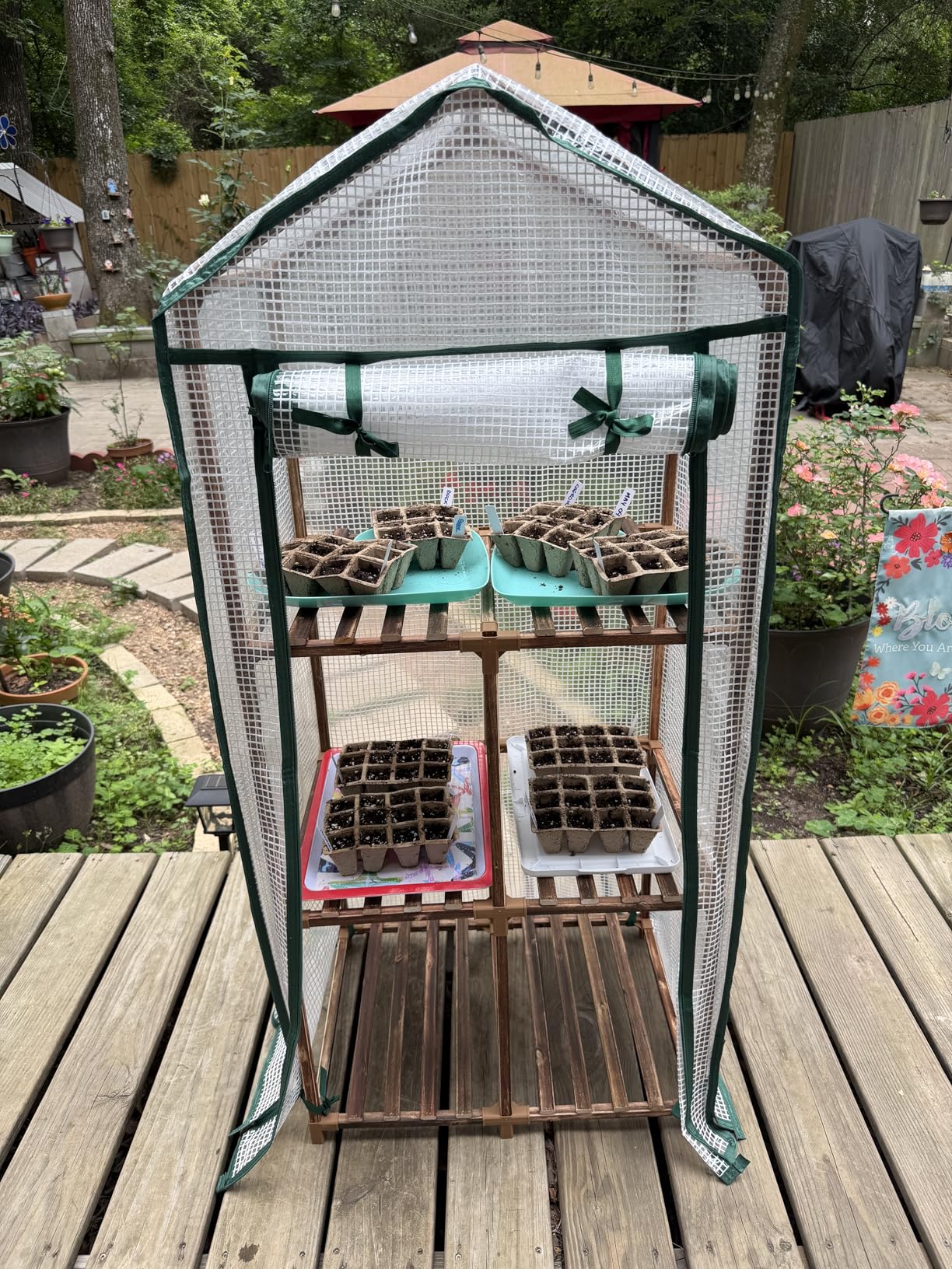 Bamworld Greenhouse for Outdoors Small Plant Green House 3-Tier Portable Plant Stand with Durable PE Cover for Seedling Ideal Gardening Gifts for Women Plants Lover customer photo 2