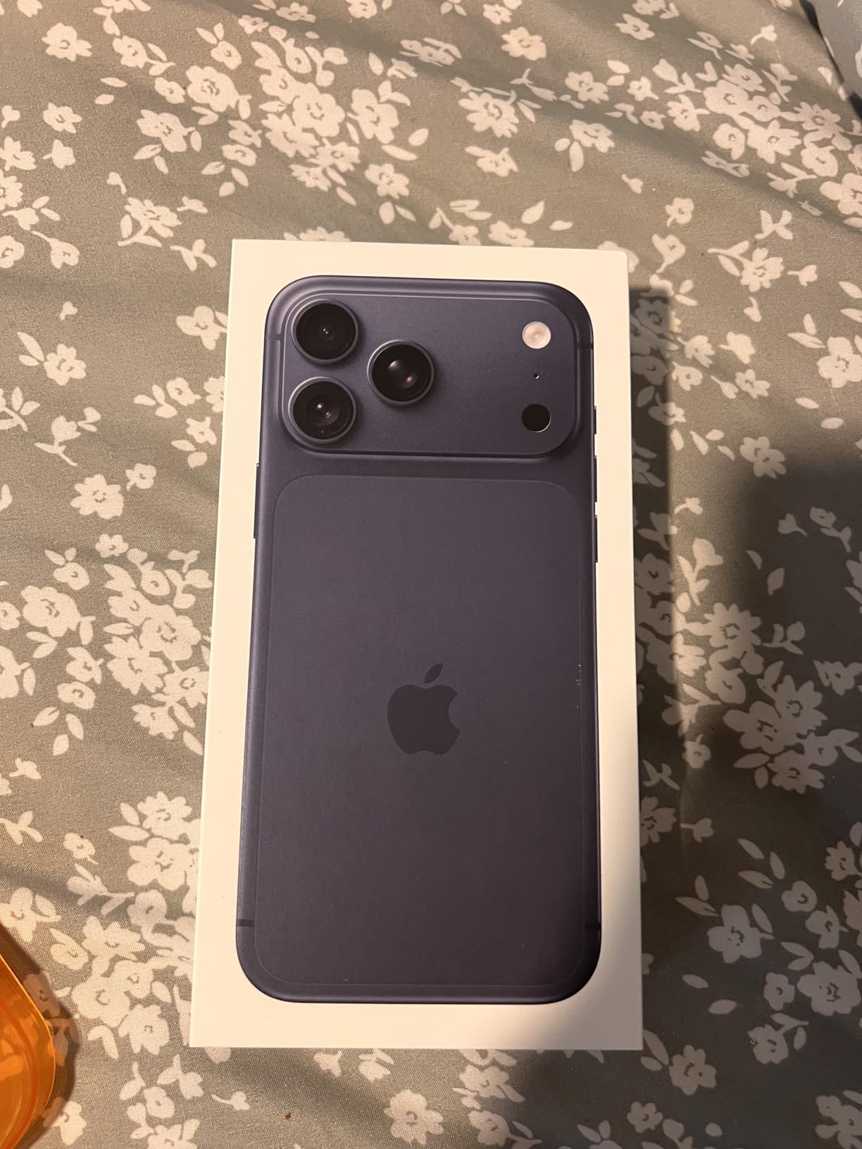 iPhone 17 Pro Max Deep Blue 256GB customer photo 2
