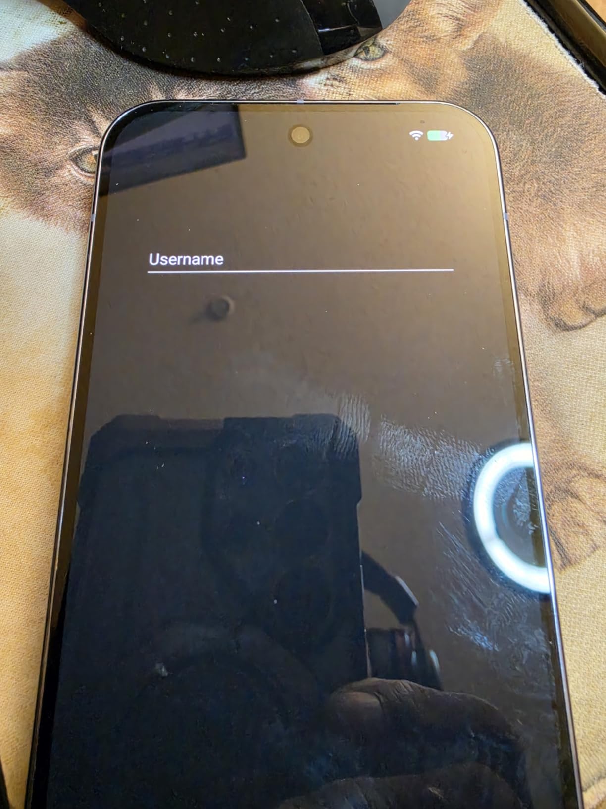 Google Pixel 10 Pro XL 2025, 256GB, Obsidian - Unlocked customer photo 2