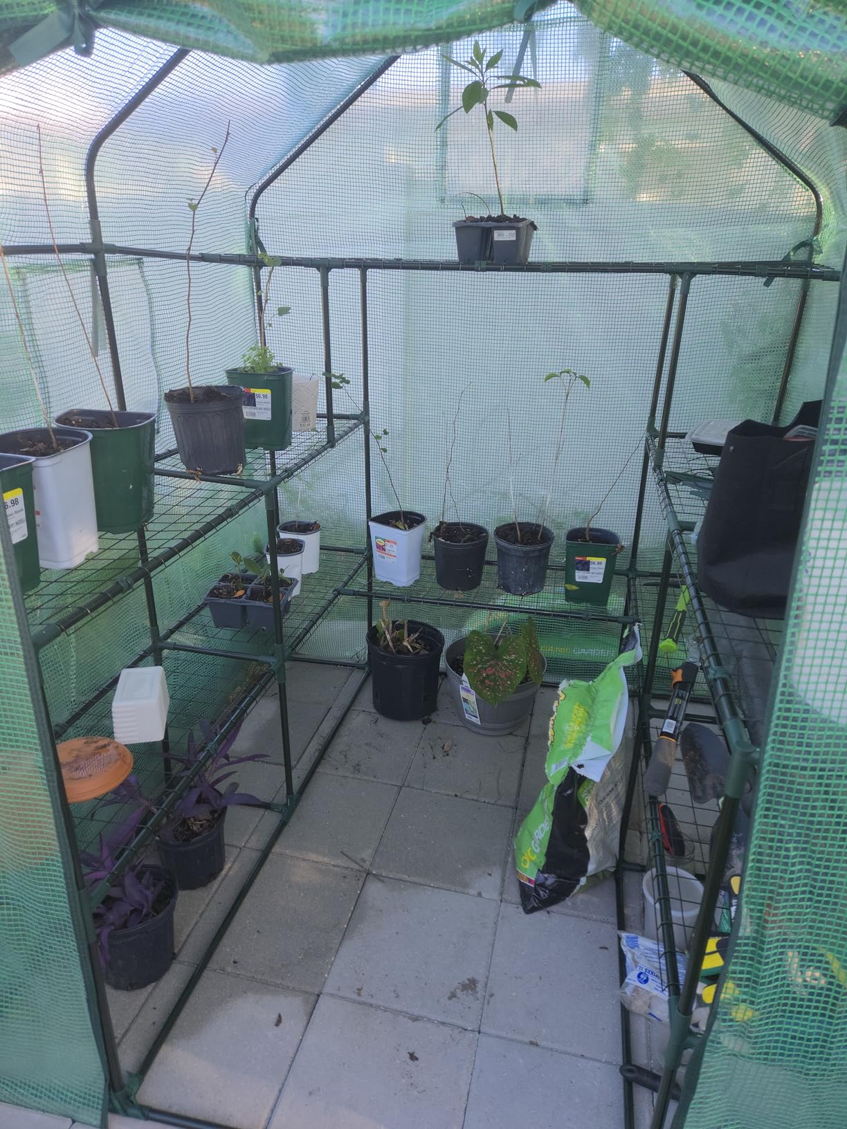 Ohuhu Plastic Greenhouse for Outdoors: Portable Walk in Plant Green House with Improved Transparent PVC Cover, 3 Tiers 12 Shelves Stands Small Greenhouses Backyard Green Houses for Outside Heavy Duty customer photo 2