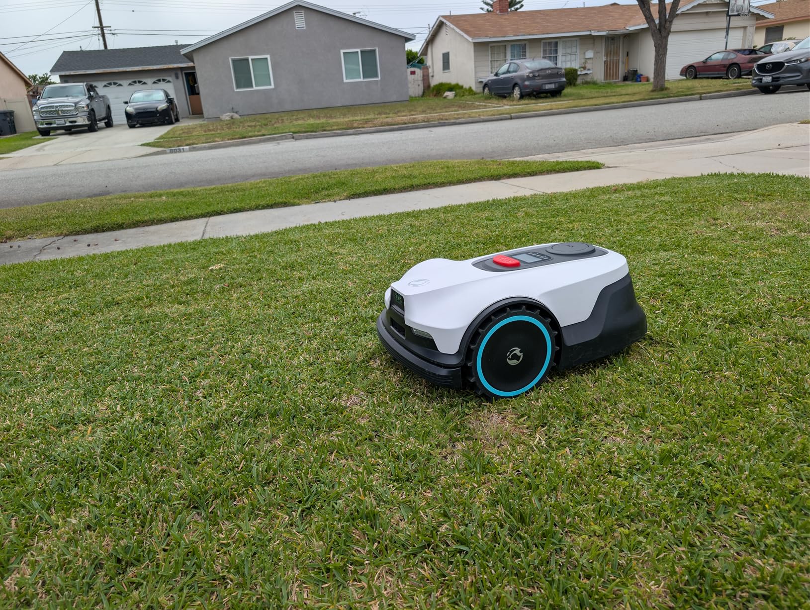 Proudeer Robotic Lawn Mower, Visual+RTK Navigation, Works Under Trees, No Wire, Robotic Mower with Auto Mapping & Edge Cutting customer photo 2