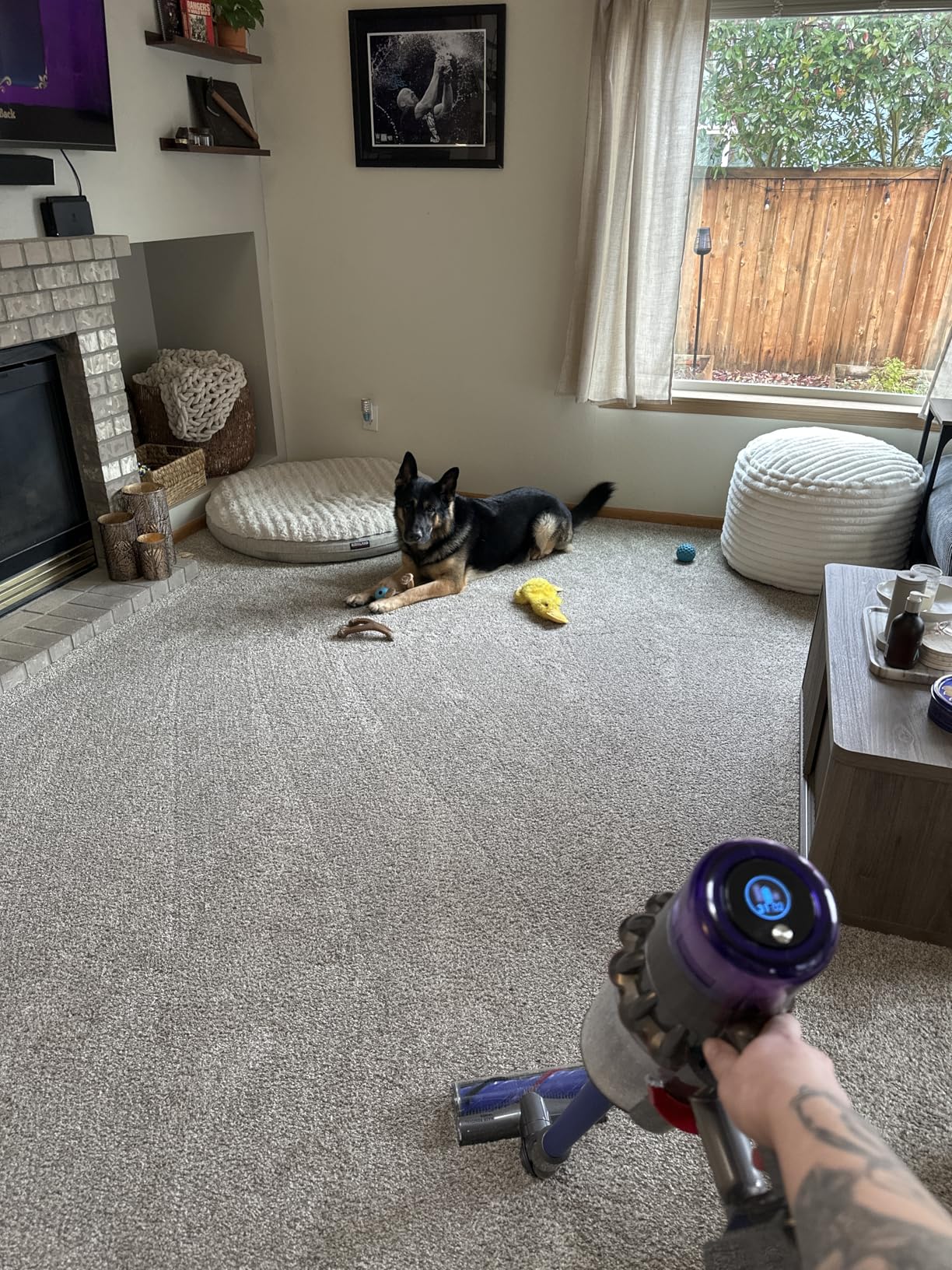 Dyson V11 Origin Cordless Vacuum customer photo 1