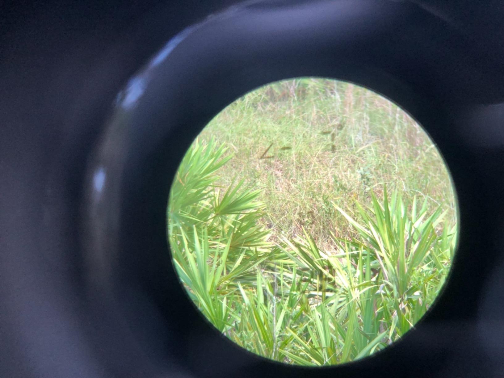 Halo Optics XL 450 Rangefinder customer photo 2