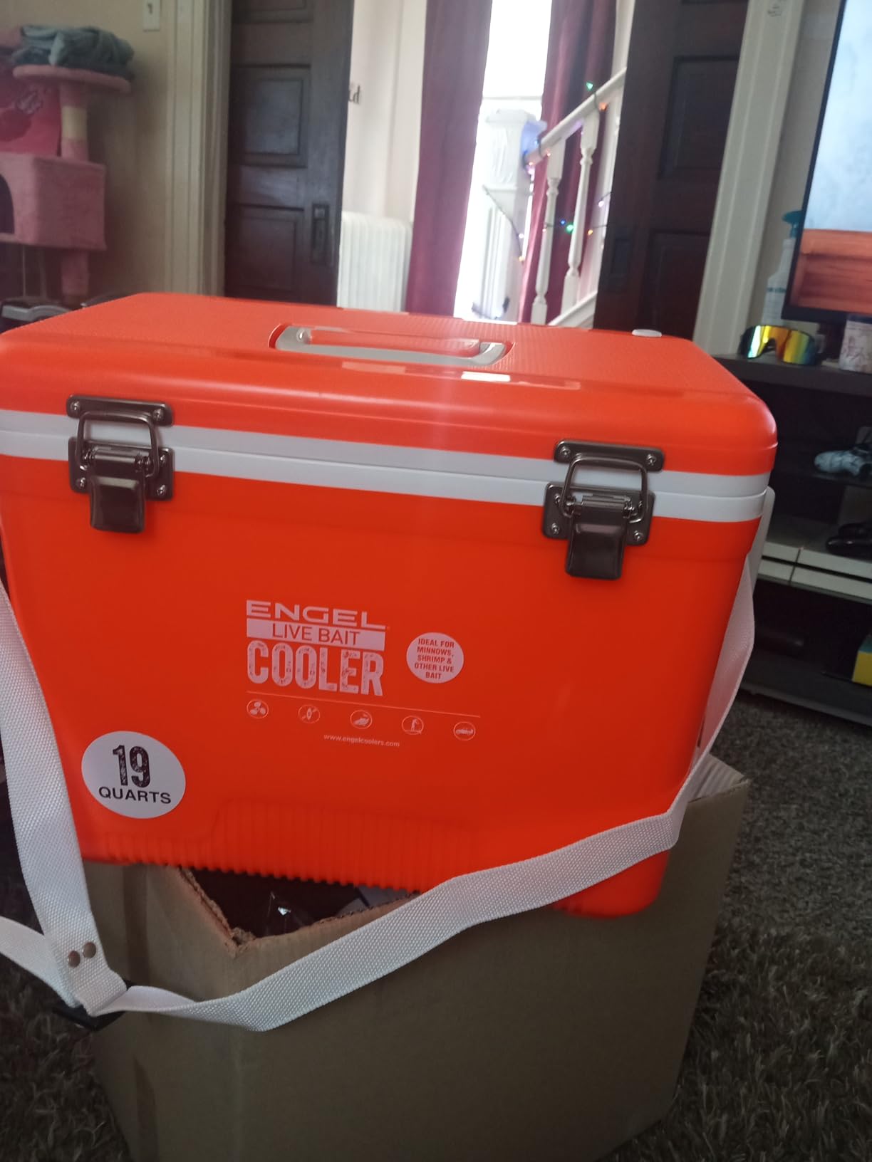 Engel Live Bait Cooler Box with 2nd Gen 2-Speed Aerator Pump - Portable Fishing Station & Minnow Bucket customer photo 1