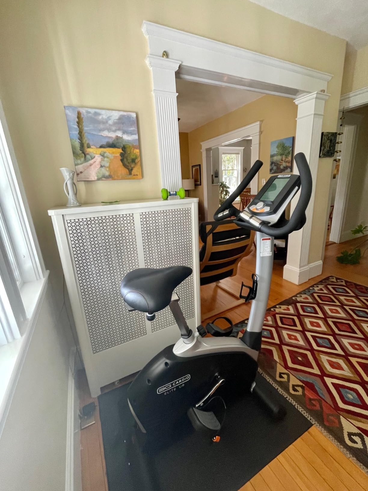 3G Cardio Elite UB Upright Bike - Commercial Grade - Compact Footprint - Ultra Comfortable Seat - Magnetic Resistance - 350 lbs Capacity customer photo 2