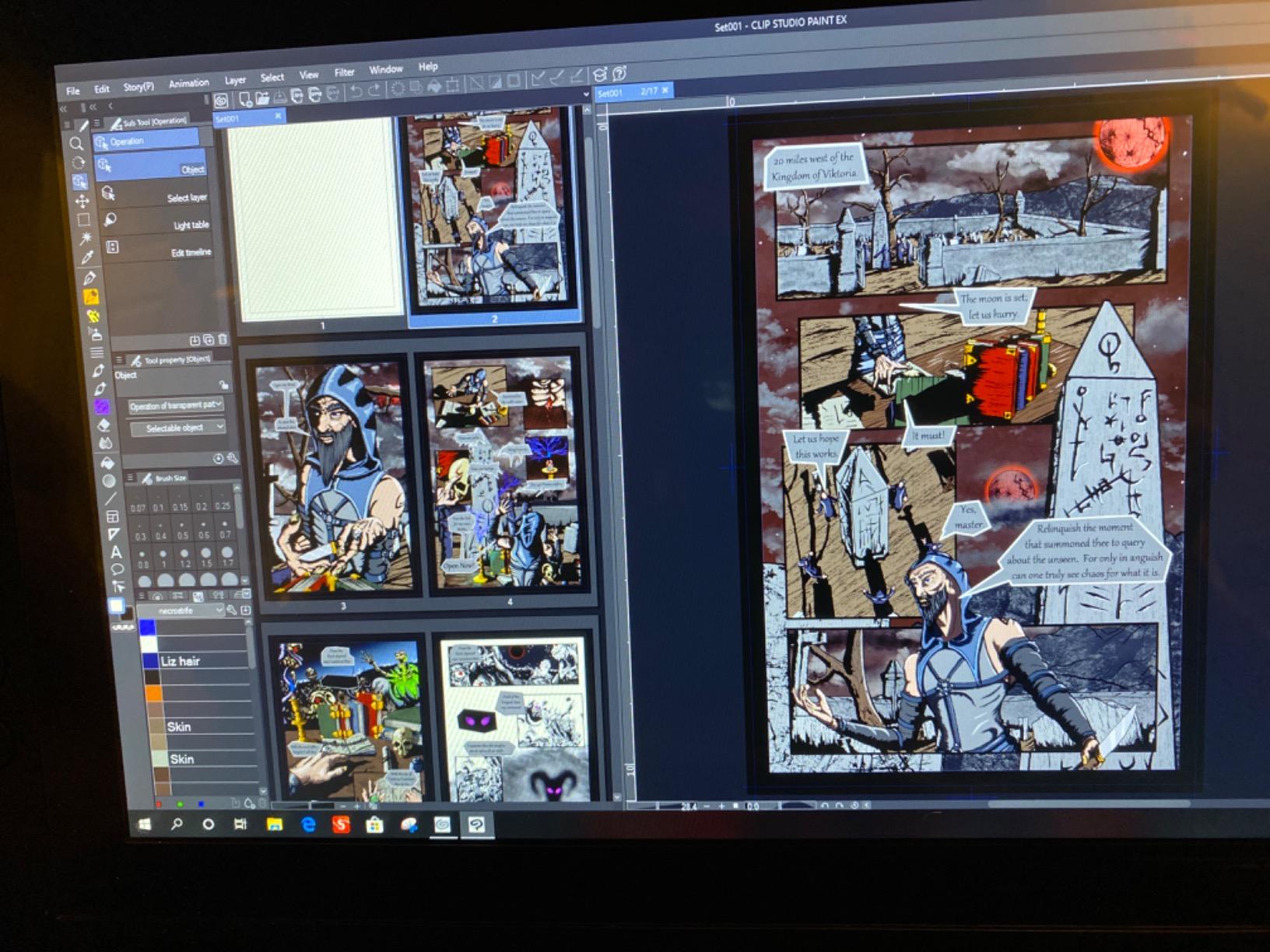 CLIP STUDIO PAINT EX - Version 1 - Perpetual License - for Microsoft Windows and MacOS customer photo 1