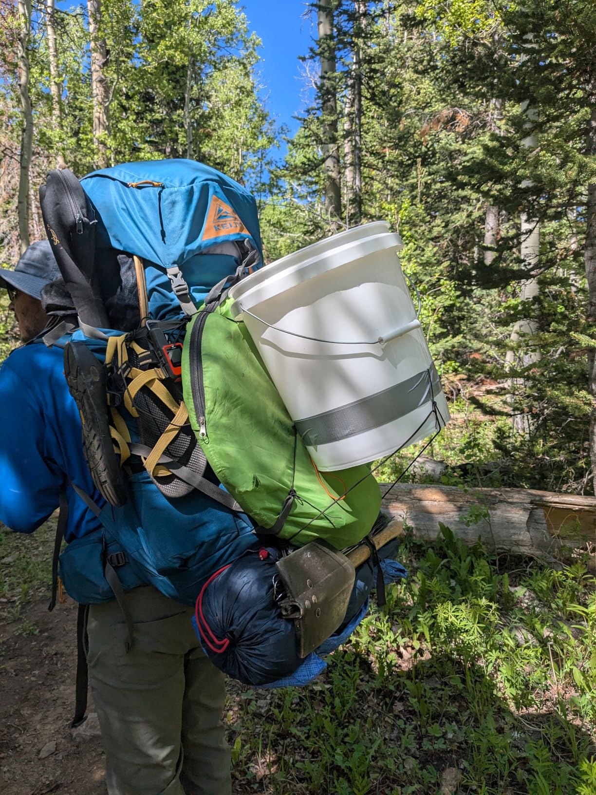 Kelty Coyote 60-105 Liter Internal Frame Backpack - Hiking, Backpacking, Travel, Hydration Compatible, Fully Adjustable (65L / Dark Olive) customer photo 2