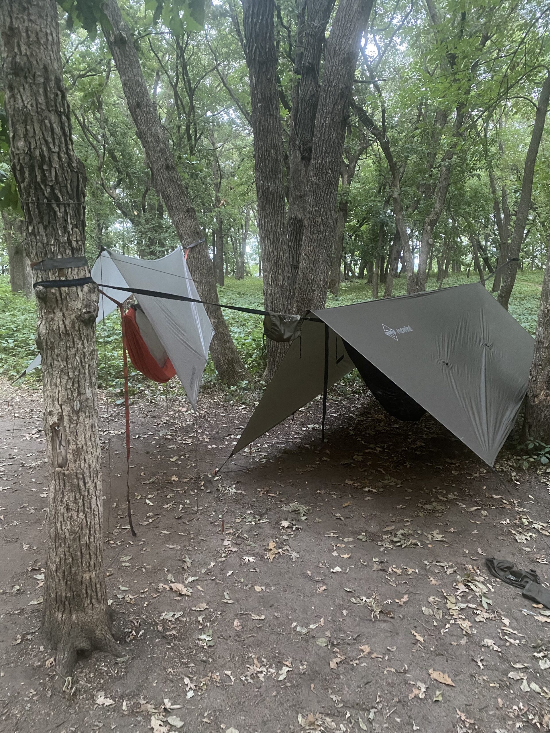 Onewind 11ft Camping Hammock with Bugnet, Portable Double Hammock with Mosquito Net, Backpacking Hammock with Net Adjustable Ridgeline Tree Straps for Outdoor Hiking Backpacking customer photo 2