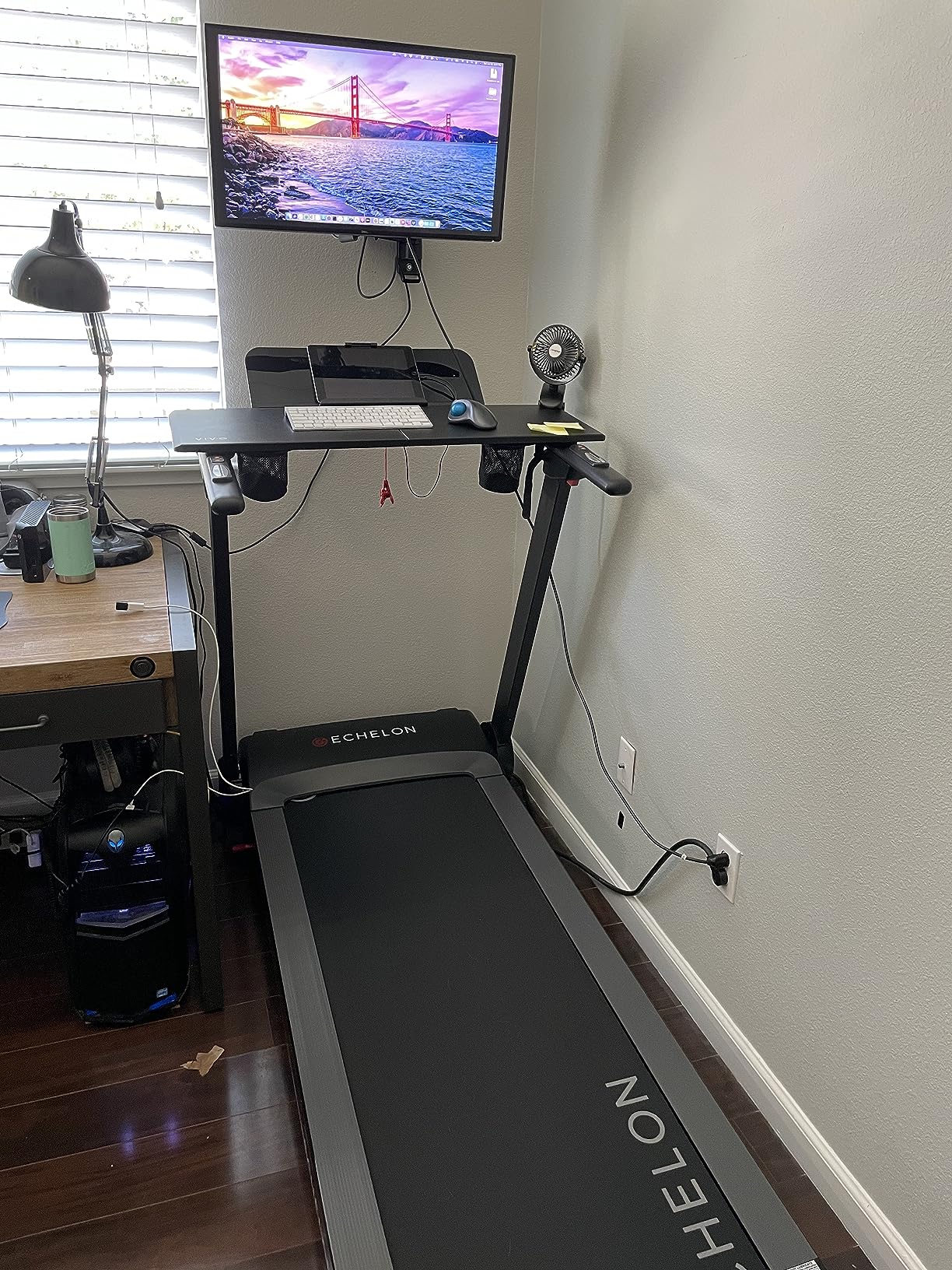 Echelon Stride Treadmill, Smart Foldable, 300 Lb Capacity, Motorized Incline, Comfortable Air Cushioning Deck, Elevate Home Workouts customer photo 1
