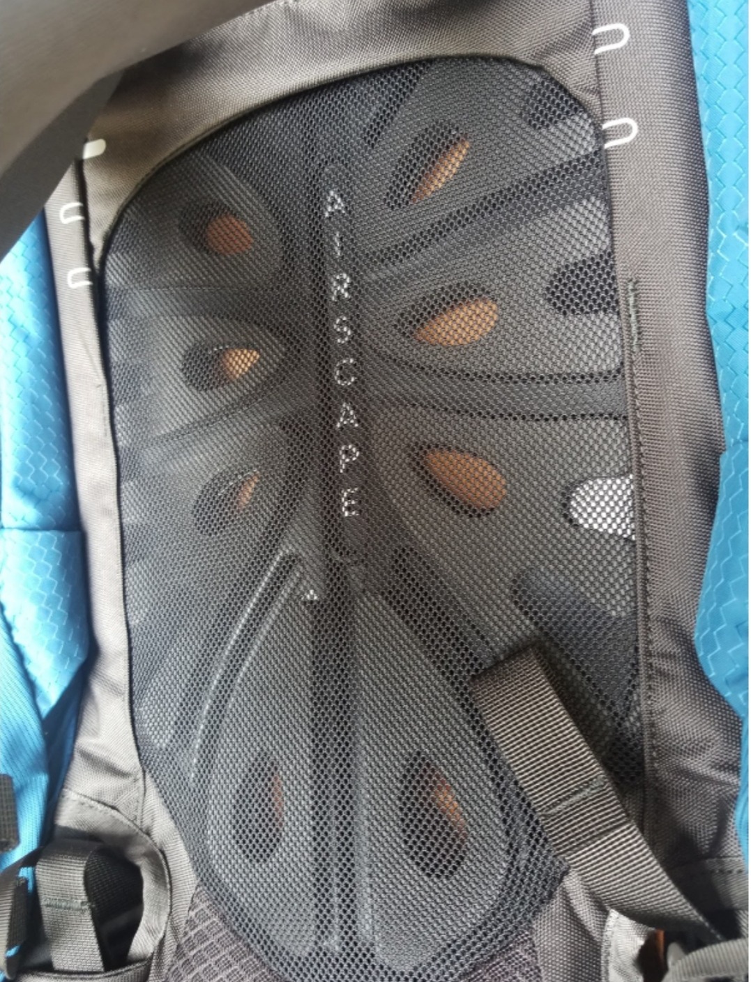 Osprey Aether 65L Men's Backpacking Backpack, Garlic Mustard Green, L/XL customer photo 2