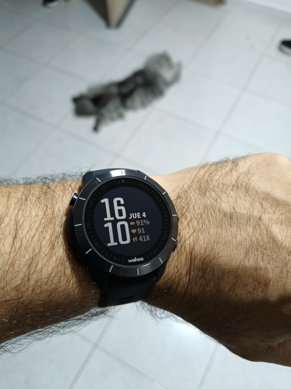 Wahoo ELEMNT RIVAL Running/Multisport GPS Smartwatch customer photo 1