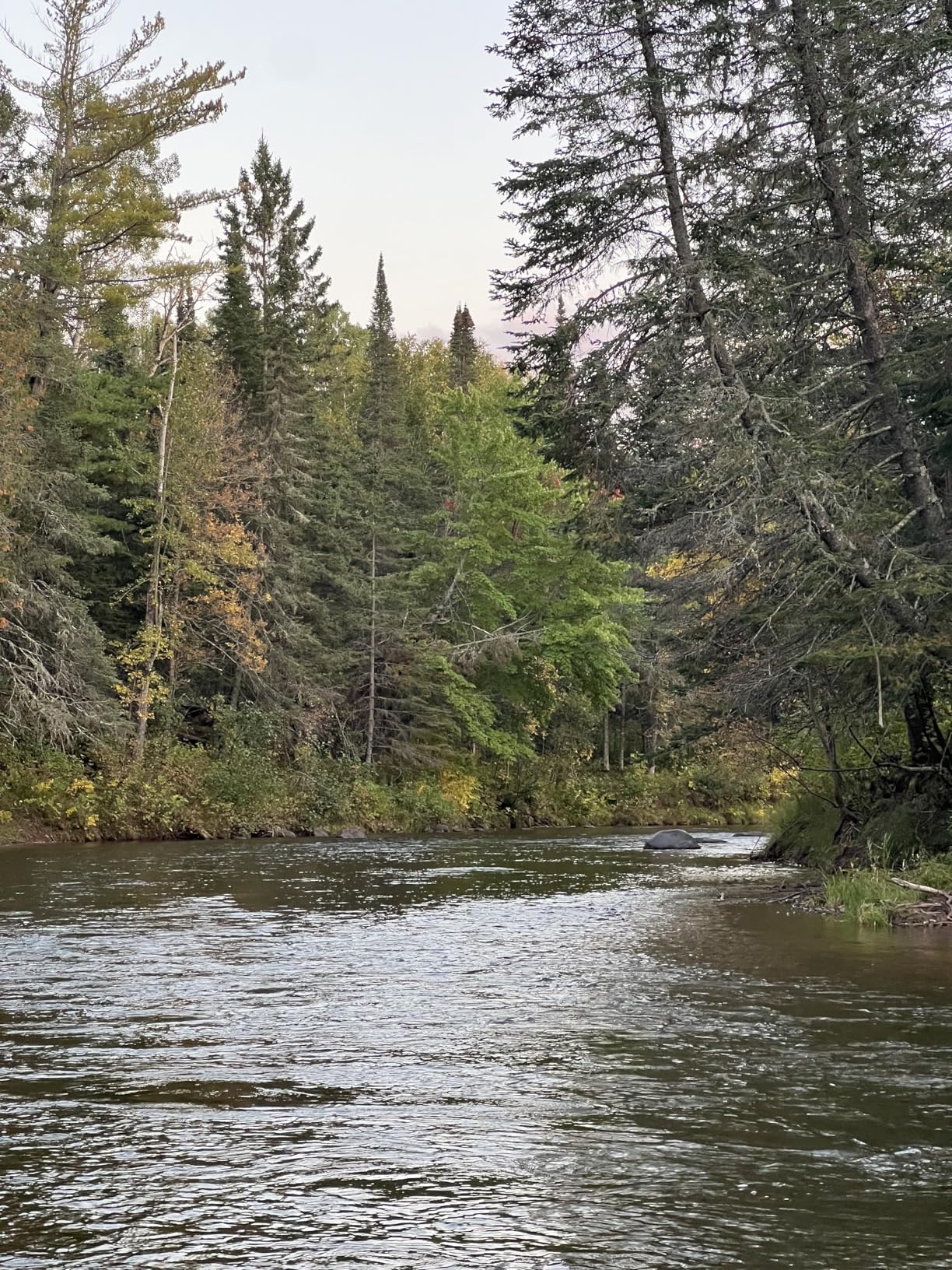 Paramount Outdoors Deep Eddy Breathable Stockingfoot Fishing Wader Regular and Stout Sizes customer photo 1