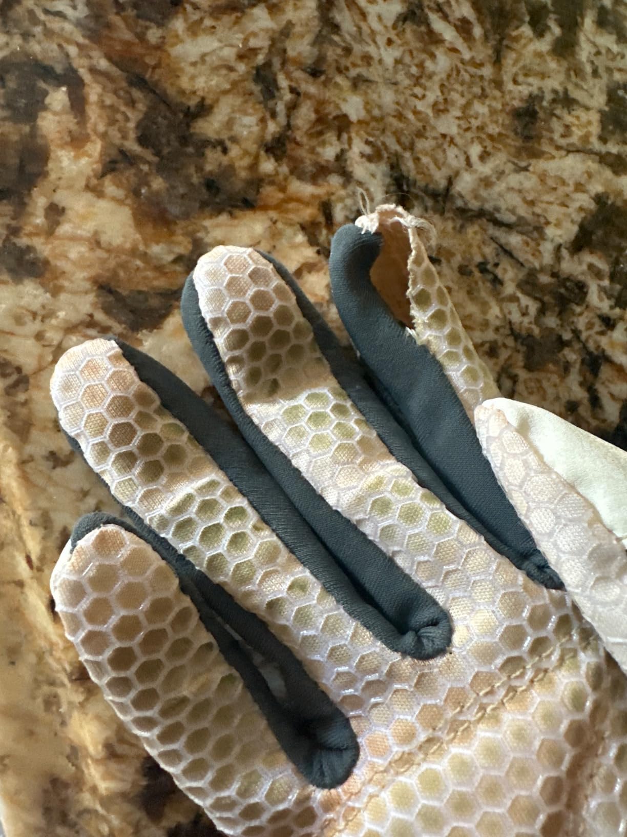 Mizuno Finch Softball Padded Batting Gloves | Pair | Adult and Youth | Nonslip Palm | Padded ShockPalm | FlexMesh Back | QuikAdjust Wrist Tab customer photo 2