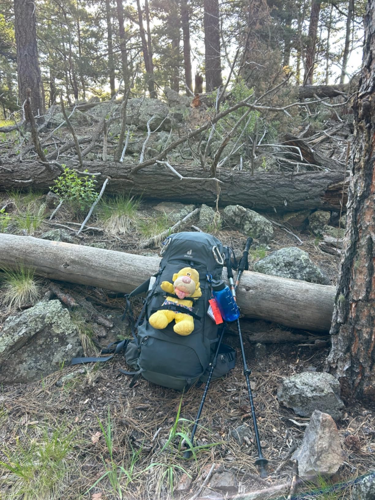 Deuter Aircontact Core 65+10L Hiking Backpack customer photo 1