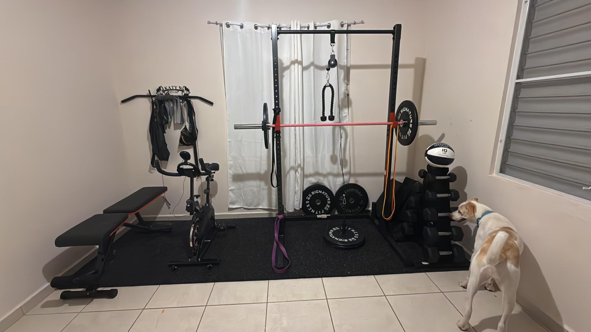 FitBeast Pulley System Gym, Cable Weight Pulley System for Gym LAT Pulldown, Biceps Curl Workout, Ideal Home Gym Equipment for Forearm, Shoulder, Strength Training customer photo 2