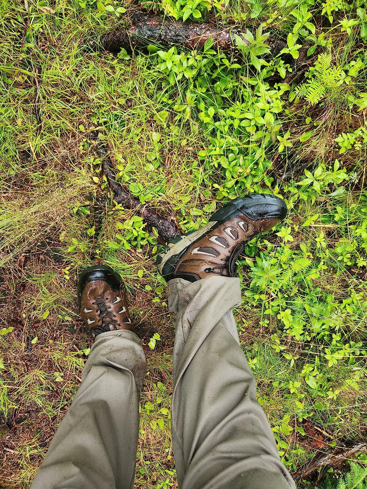 Oboz Men's Sawtooth X Mid B-DRY Hiking Boot customer photo 1