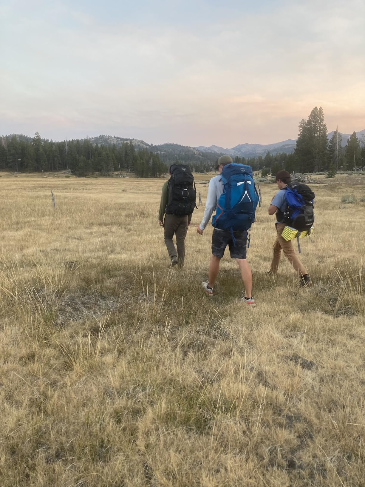 Osprey Atmos AG LT 65L Men's Backpacking Backpack, Scenic Valley/Green Peppercorn, L/XL customer photo 1