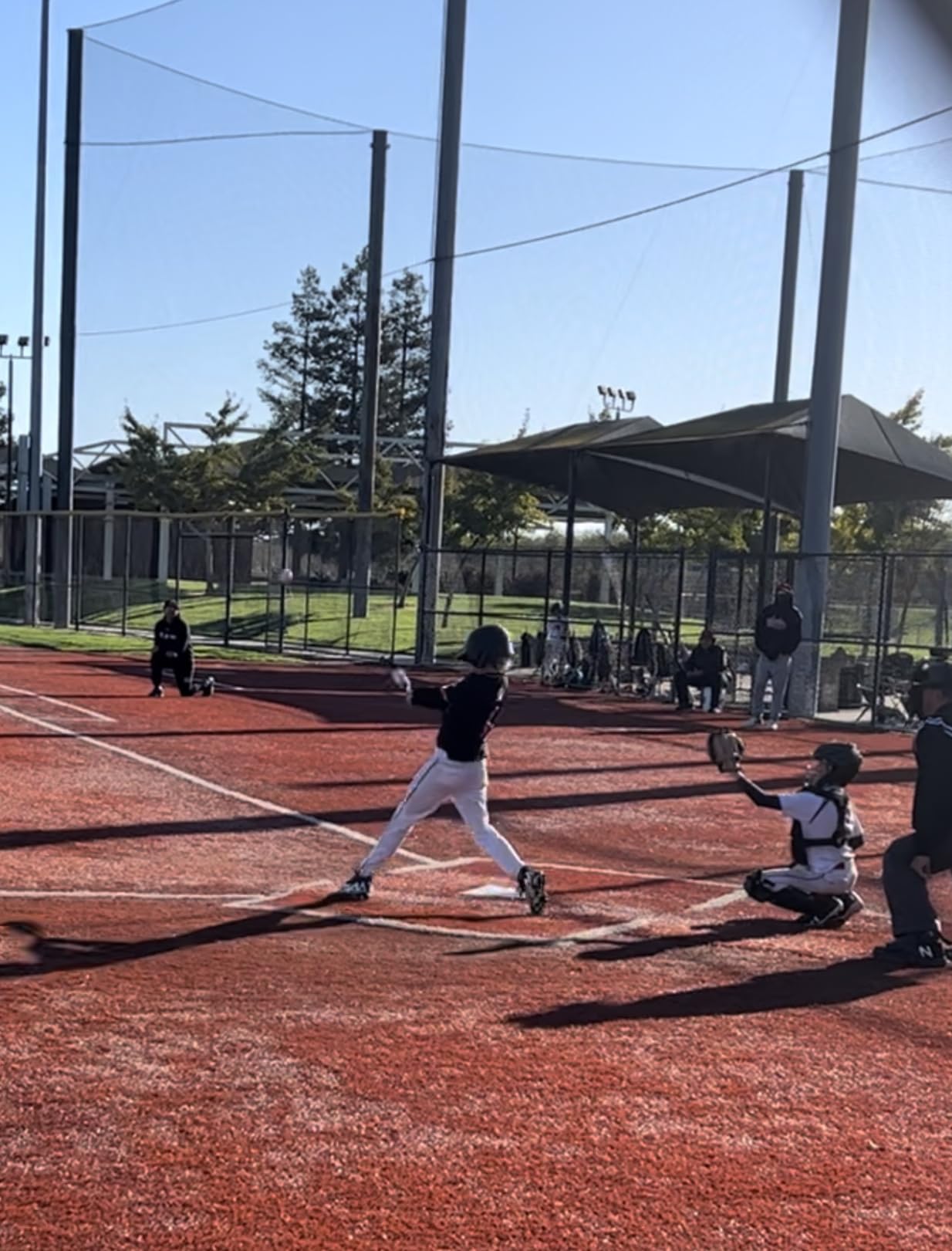 DeMarini 2024 Zoa (-10) 2 3/4