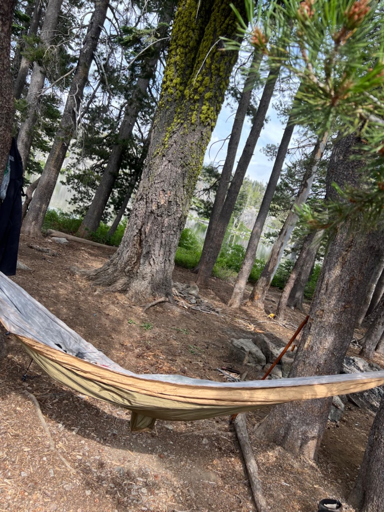Camping Hammock, Portable Hammocks with Mosquito Net, Lightweight Nylon Parachute Hammock with 10ft Tree Straps, Camping Gear Must Haves for Travel Hiking Backpacking Beach Patio customer photo 2