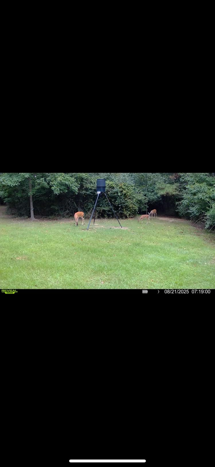 Tactacam Reveal X 3.0 Cellular Trail Camera - Auto Connect 4G LTE, 4K Photo, 1080p Video, Low-Glow IR Flash, No SD Card Needed, Long Battery Life customer photo 1
