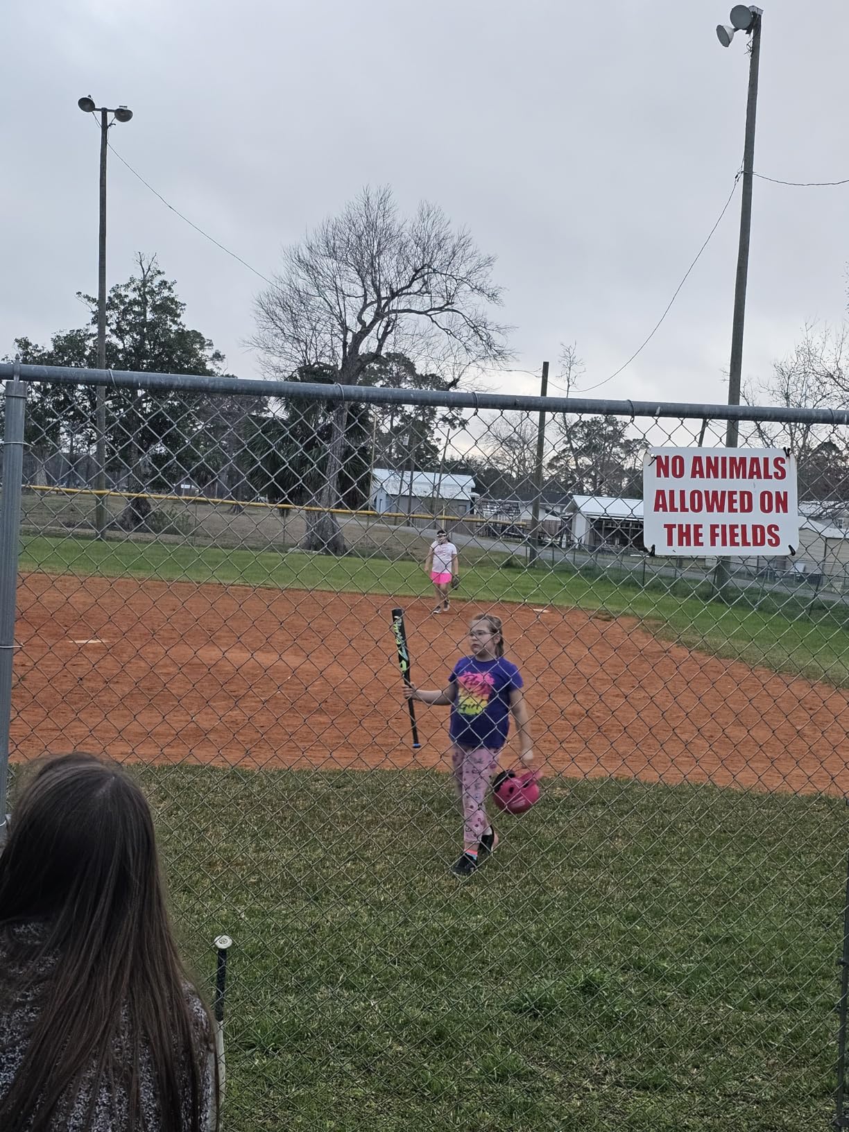 DeMarini 2025 Zenith (-13) Fastpitch Softball Bats - 28