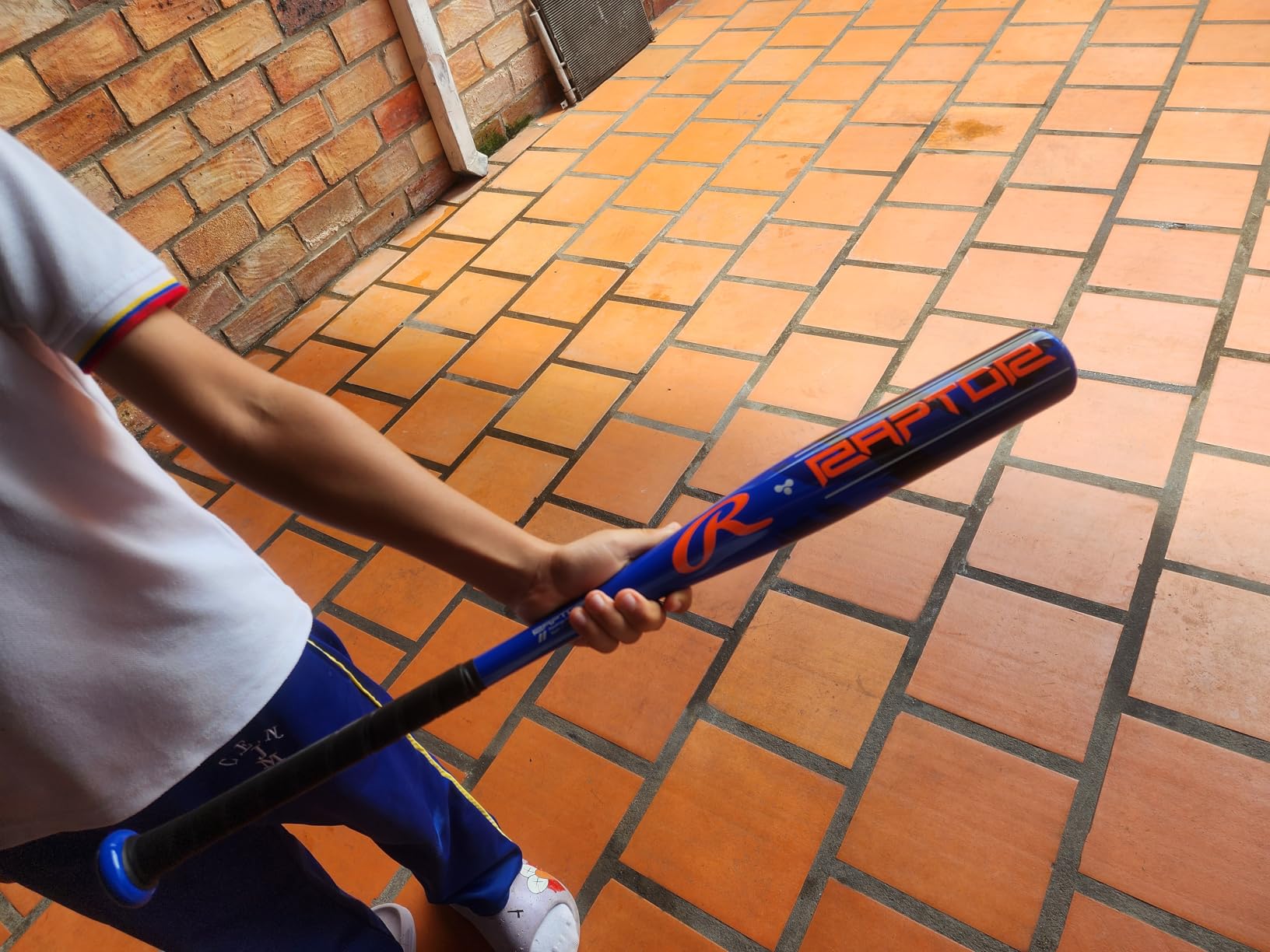 Rawlings Raptor Youth Baseball Bat | USA | -10 Drop | 2 1/4
